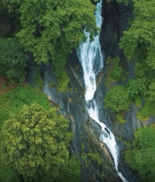 Water cascading down the forested rocks at Kozhippara