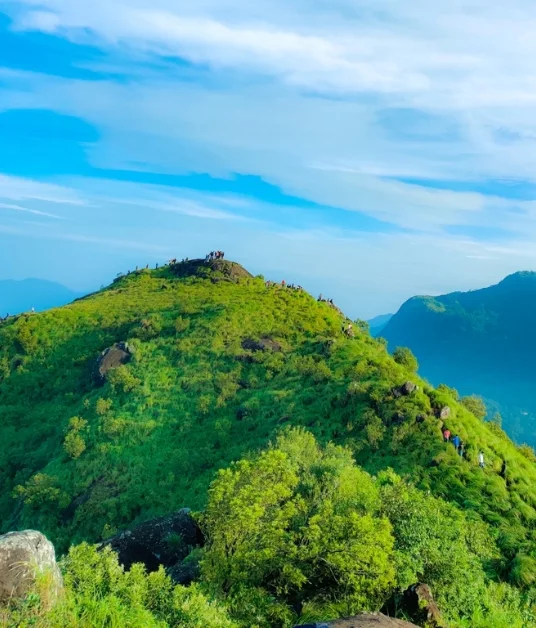 Hikers on the green Kurishumala ridge near Nayadampoyil